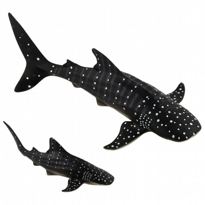 고래상어 피규어, 1개