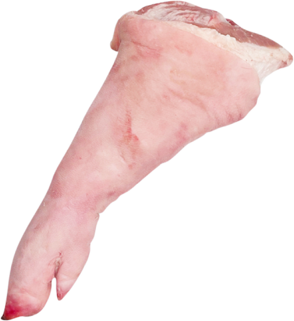 국내산 냉장 돼지족발 앞다리 뒷다리 생족발 전족 장족 통족발, 앞다리-컷팅1/2(발목컷팅), 1개