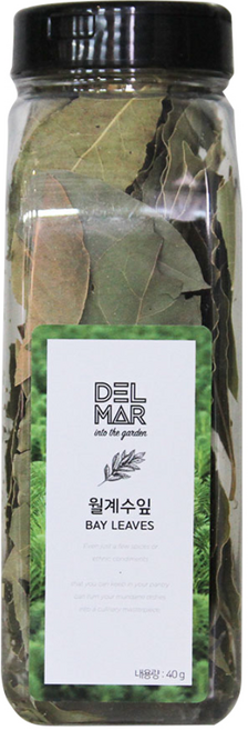딜리셔스마켓 월계수 잎, 40g, 1개