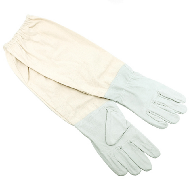 KP 양봉 장갑, 1개