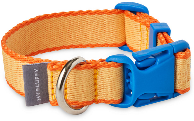 마이플러피 반려견 핏칼라 목줄, 오렌지옐로우, 1개