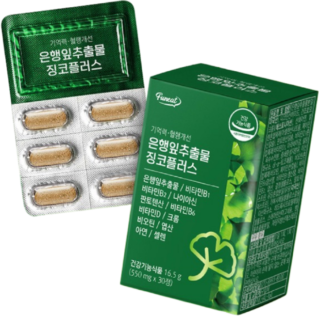퍼니트 기억력 혈행개선 은행잎추출물 징코플러스, 30정, 6개