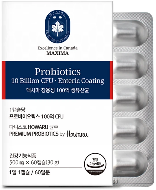 (아울렛/유통기한 27.01.22) 맥시마 장용성 100억 생유산균, 1개, 60정 - 쿠팡
