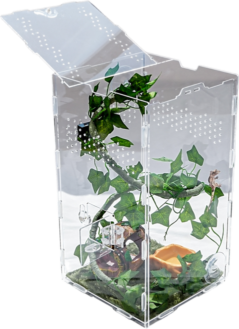 크레용샵 도마뱀 크레스티드 게코 사육장 한방 세트, 1개