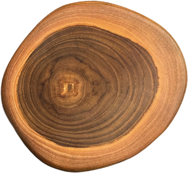 티셀 티크우드 디저트 치즈 플레이트 천연나무 주방조리도구 (중), 2개