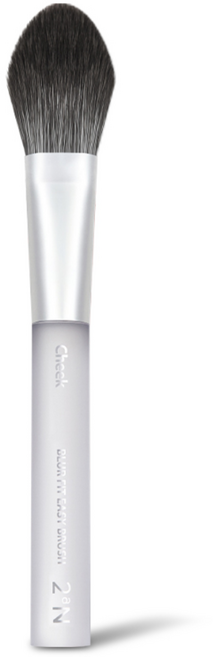 투에이엔 블러 핏 이지 브러쉬 치크 20g, 1개, 혼합색상