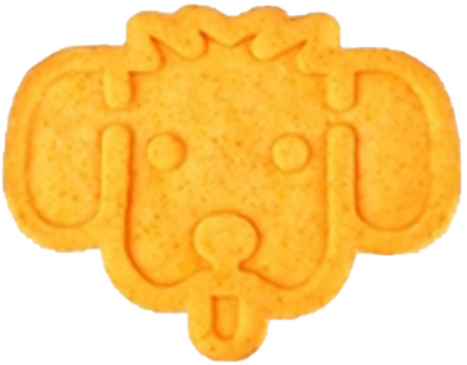 아인솝 펫 버블 바스붐 데일리비타민, 60g, 1개