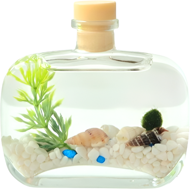 (달빛마녀캔들)바다 마리모 키우기 세트 반려식물, 만들기 키트, 1개