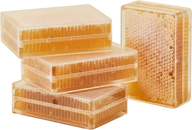 하비비 벌집꿀 벌꿀집 허니콤 천연벌집꿀 밀랍 벌집, 1개, 500g