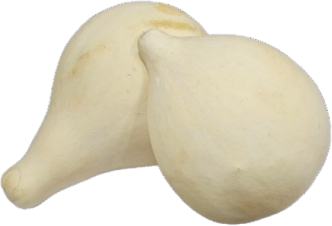 백련 깨는 박바가지 (램덤발송) 표주박 우드 함바가지 이사액땜, 깨는박바가지(대), 금간박바가지