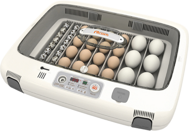 알콤 MAX 50 DO, 1개