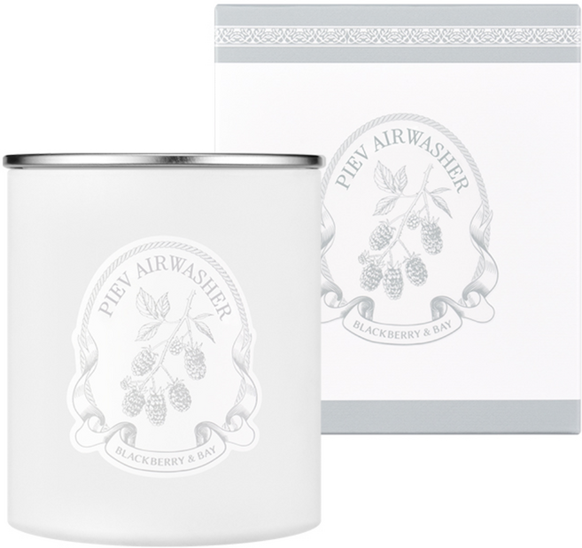 [본사공식몰] 피에브 에어워셔 고체 탈취제 냄새 제거 블랙베리&베이 향, 250g, 1개