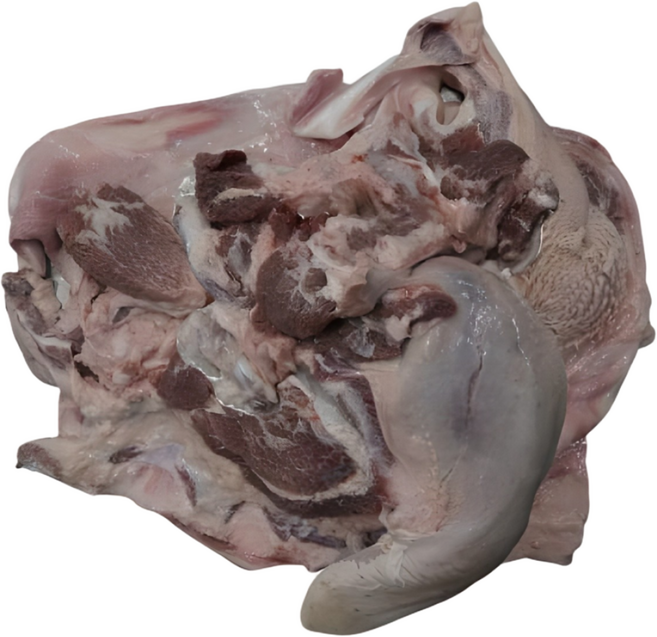 한우 소머리 암소머리 한마리 우설 머리뼈포함, 1개, 15kg