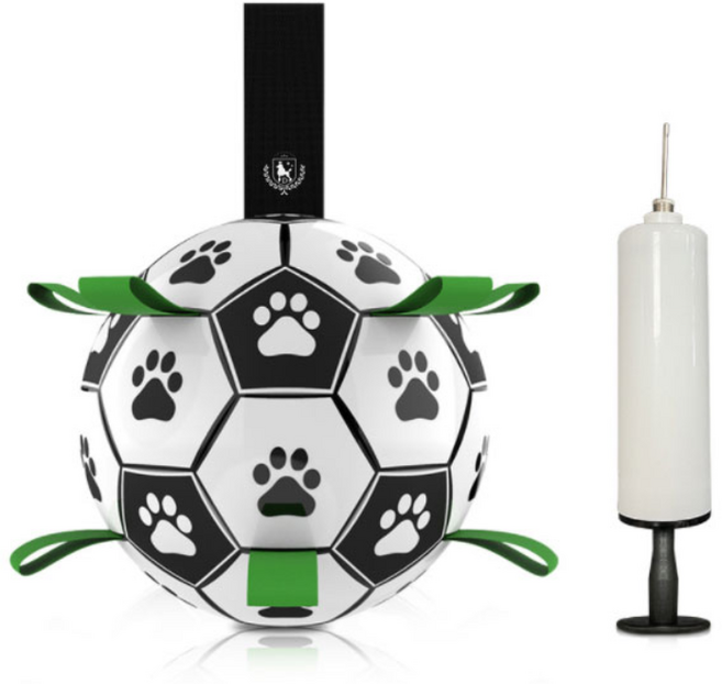 딩동펫 도그탭 축구공 반려동물 장난감, 그린, 1세트