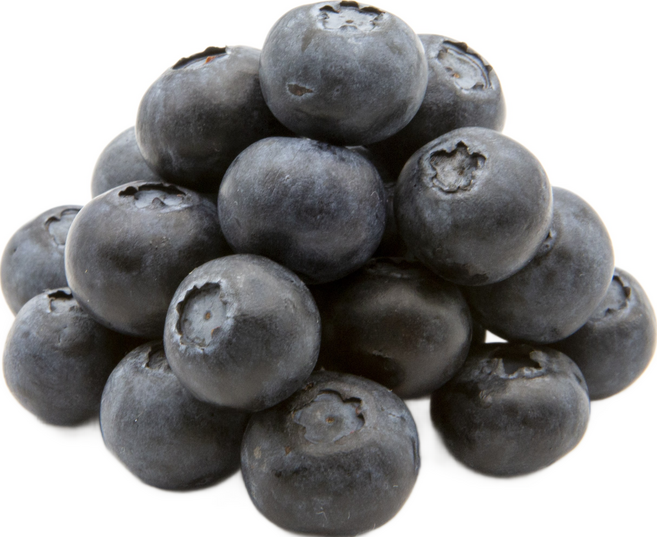 블루베리 생블루베리 국내산 블루베리, 100g, 10개