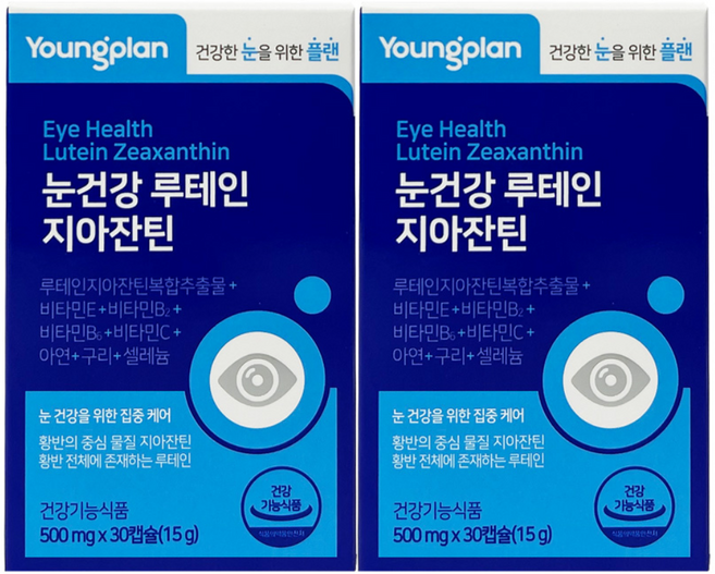 영진약품 영플랜 눈건강 루테인 지아잔틴 500mg x 30캡슐 루테인지아잔틴복합추출물 비타민E 비타민B2 비타민B6 비타민C 아연 구리 셀레늄 함유 건강기능식품, 2개, 30정