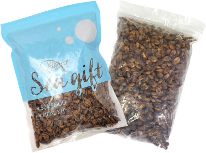 [씨기프트]냉동 번데기 1kg 2kg 주전부리 간식 안주, 1개