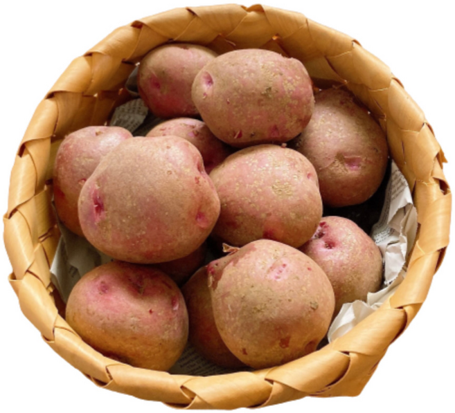 국내산 포슬포슬 노란카스테라 홍감자 햇홍감자남해 하동 진주 최상품, 1박스, (대)-5kg