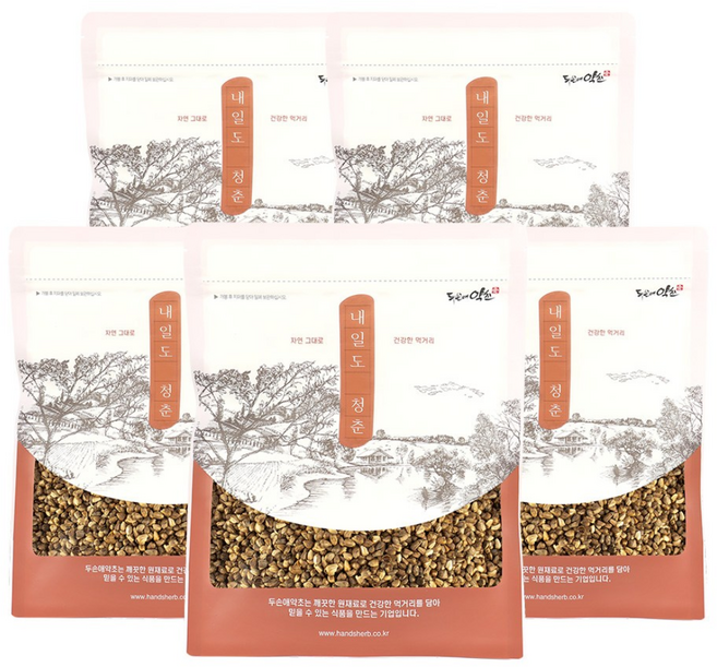 두손애약초 볶은홍화씨, 5개