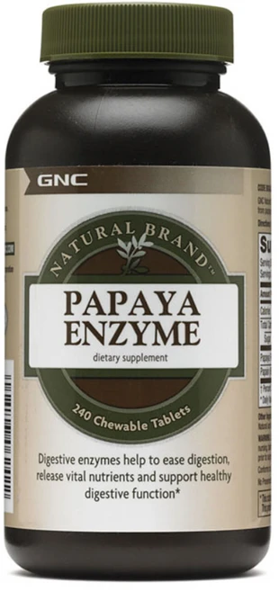 GNC 파파야 엔자임 츄어블 타블렛, 240개입, 1개, 240정 - 쿠팡