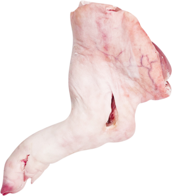 국내산 냉장 돼지족발 앞다리 뒷다리 생족발 전족 장족 통족발, 뒷다리-컷팅1/4, 1개