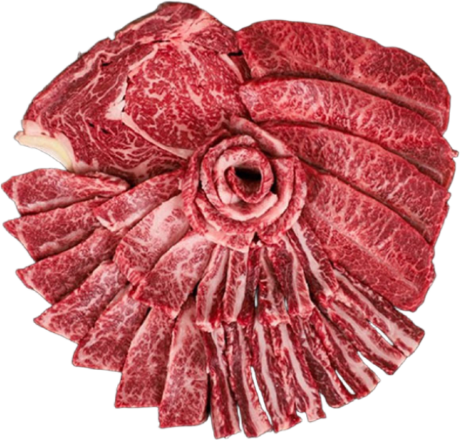 [우직한우] 투쁠 국내산 한우 1++등급 구이용 꽃등심300g+특수부위(살치살 갈비살 부채살 업진살)300g 총600g, 1세트