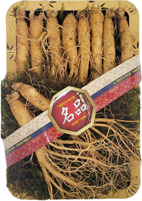 금산인삼 수삼 선물용(바구니1호)원수삼대 750g 10~13뿌리