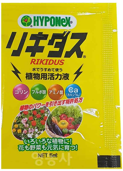 하이포넥스 리키다스 소포장 뿌리 잎 활력액, 1개, 5ml