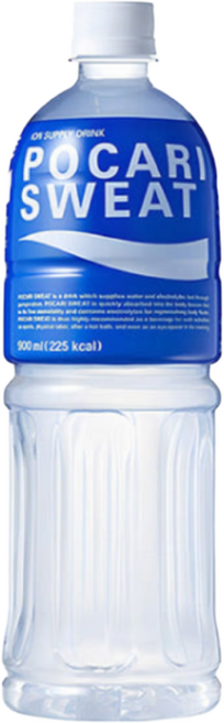 사랑주는쇼핑몰 동아오츠카 포카리스웨트 900ml, 10개