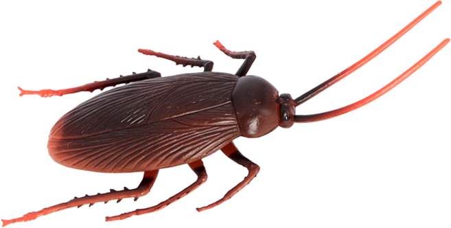 제트피규어 바퀴벌레 곤충 피규어 장난감 모형, 1개