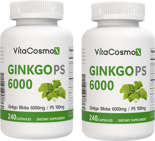 신제품 비타코스모 VitaCosmoX 포스파티딜세린 징코 PS 6000 (은행잎추출물+포스파티딜세린), 2개, 240정