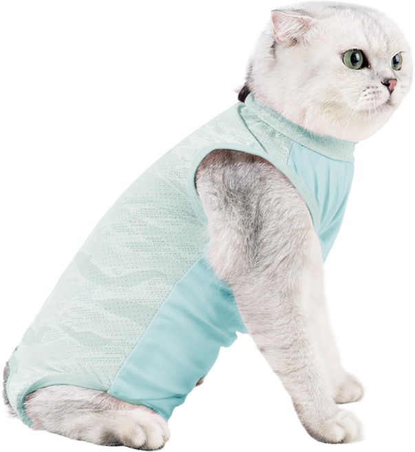 고양이 중성화 전용 의류/올인원 중성화복/고양이 환묘복 환견복 중성화복/상처 보호복, 1개, Blue