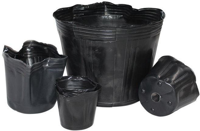 에스몰 망포트 비닐포트 육묘 모종 플라스틱 화분 비닐폿트