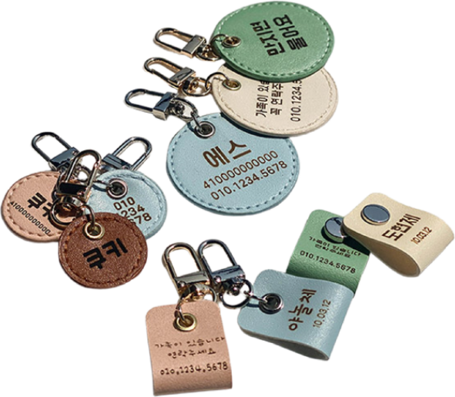 딩동펫 반려동물 외출용 가죽 인식표, 실버-사각, 디자인1, 1, 그린