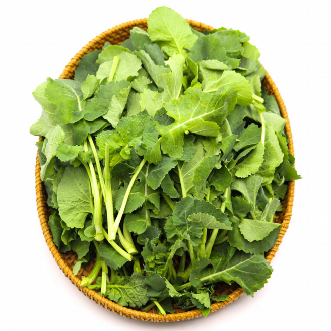 국내산 제철 봄나물 (생)유채나물, 1개, 1kg