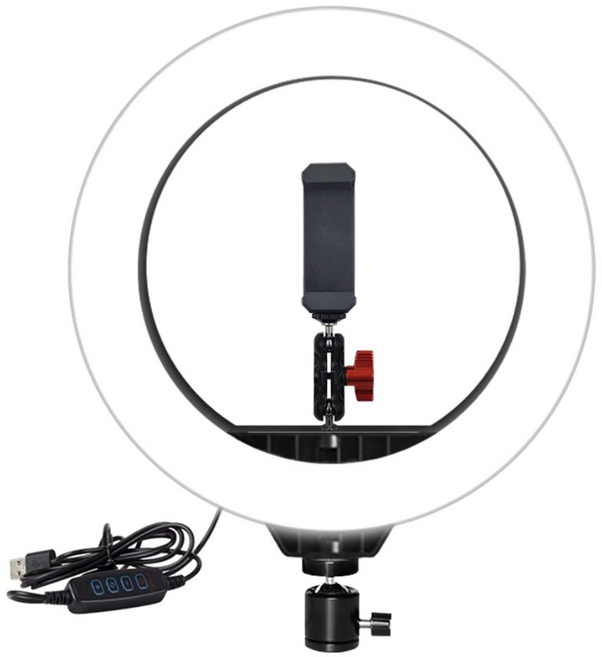 비상 360 LED 링라이트 더블볼헤드 타입, 더블볼헤드타입, 1개