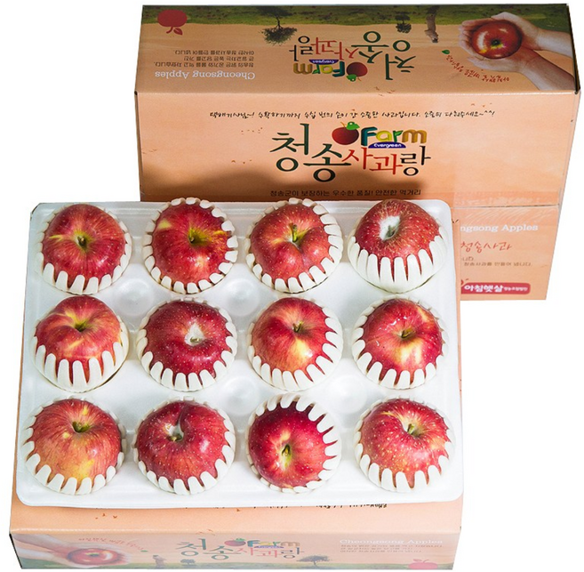아삭아삭 청송사과 정품 2.5kg 11-14/소과/팬캡포장 / 부사, 1박스