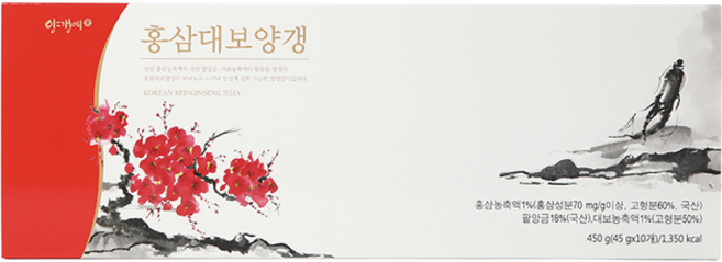 양갱애 홍삼대보양갱 10입, 450g, 1세트