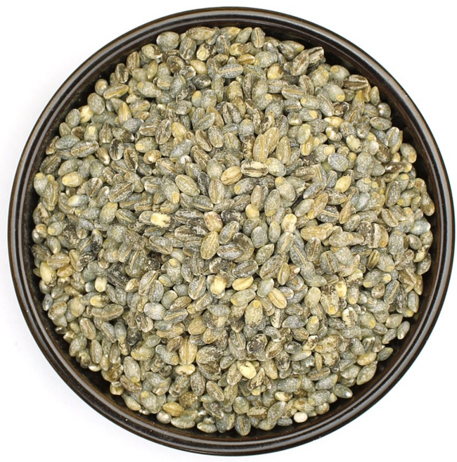 자연초 청맥 녹색보리, 3개