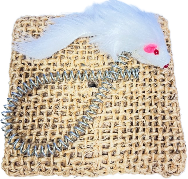 캣츠아이 사각 미니 스크레쳐, 1개