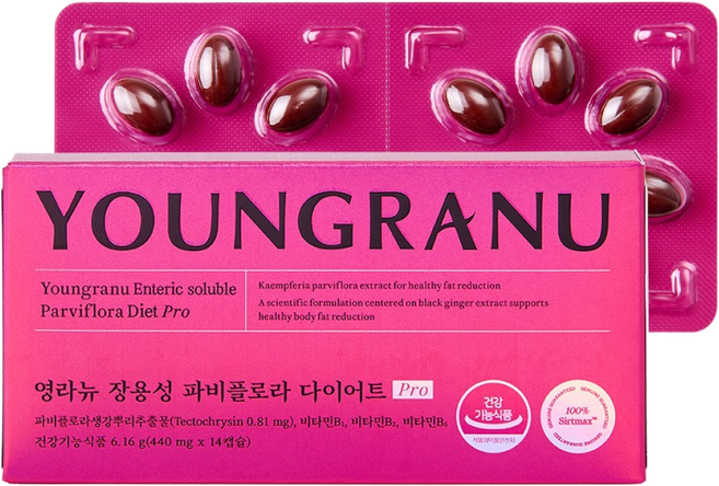 영라뉴 장용성 파비플로라 다이어트 프로, 14정, 6개