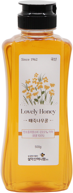 설악산허니팜 자연벌꿀 때죽나무꿀, 500g, 1개