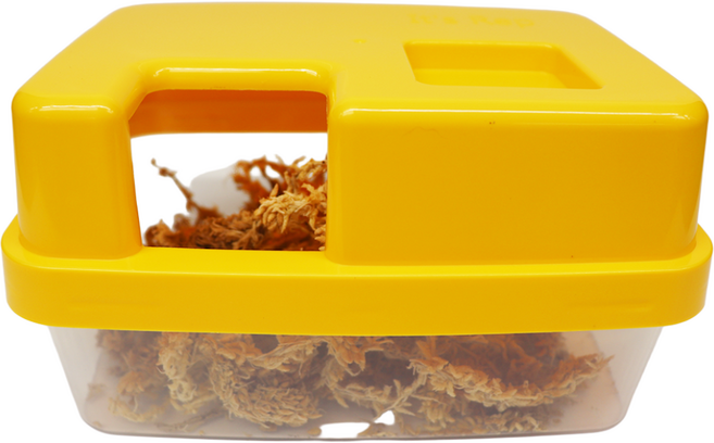 이츠렙 레오파드 크레스티드 게코 파충류 습식 은신처, 노랑, 1개