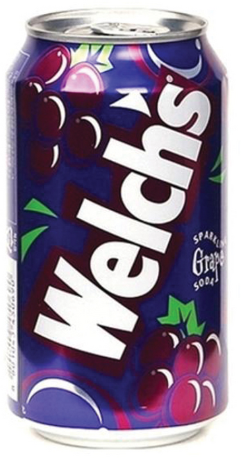 농심 웰치스 포도 355ml x 48캔, 48개