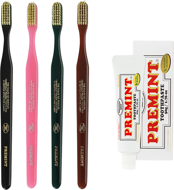 PREMINT 프레민트 프리미엄 칫솔 4종(블랙 핑크 그린 브라운) + 프레민트 오리지널민트 치약 50g, 1개
