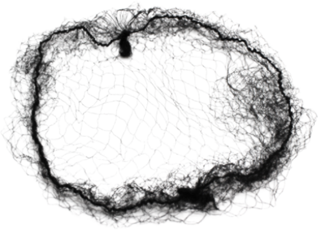 올림머리 업스타일 실망 [대] 20개 1묶음, 1개, 검정색 실망 20개 1묶음