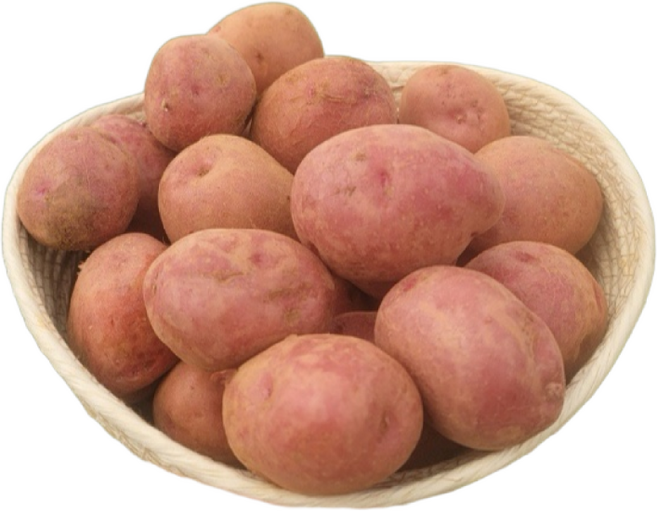 파머스넷 해남 홍감자, 10kg (소), 1개