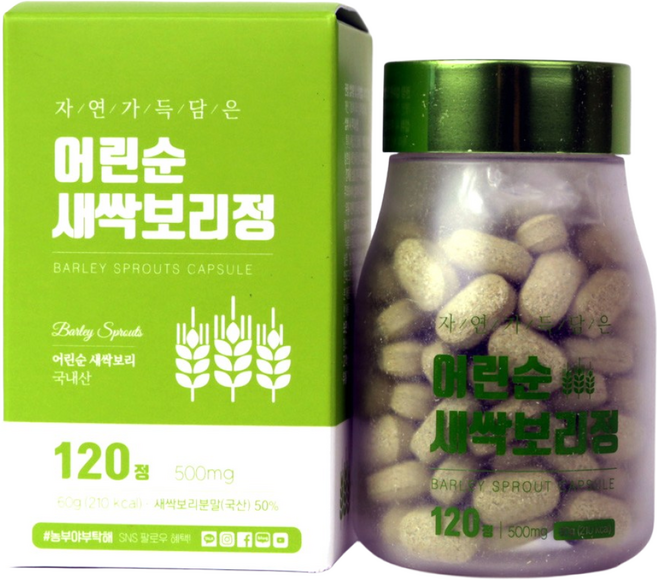 자연가득담은 어린순 새싹보리정 영양제, 60g, 1개