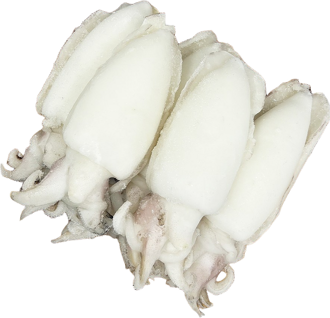 [오징어], 냉동갑오징어 홀크린 5kg (200/300), 1개