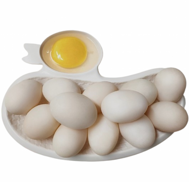 [특허청 상표등록] 과일먹인 건강한 기러기알 당일산란 유정란 10구 항생제zero 아침애기러기보양란, 1개